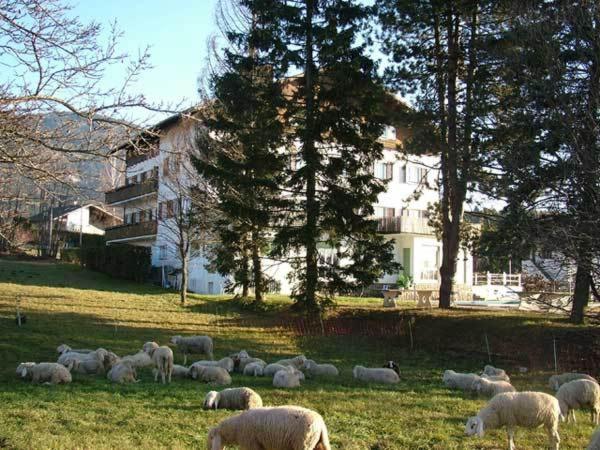 Hotel Due Pini Baselga di Pinè Екстериор снимка